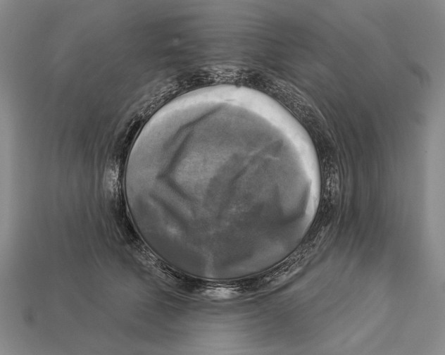 X0000112960610200909241201