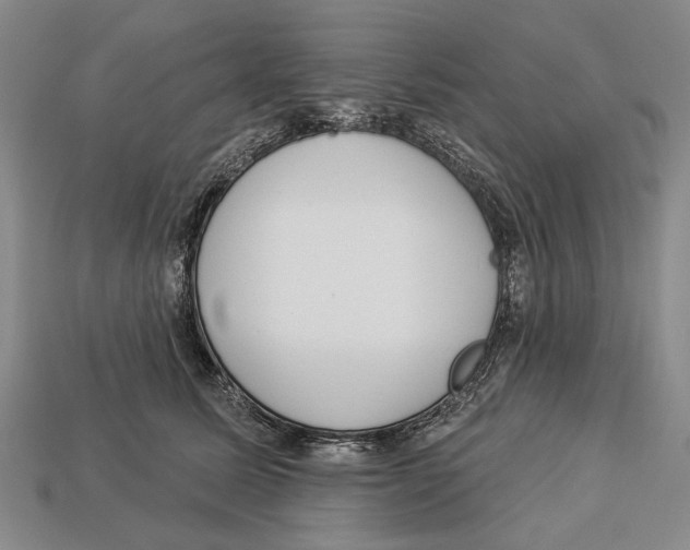 X0000112960611200909241201