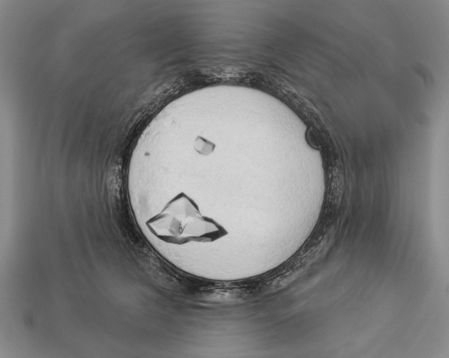 X0000112960612200909241201