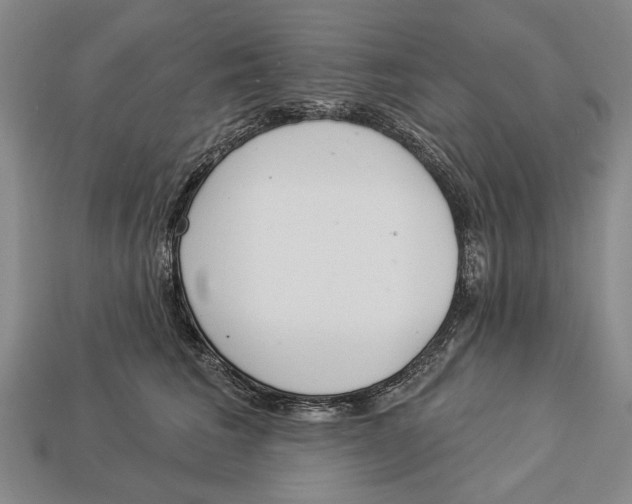 X0000112960613200909241201