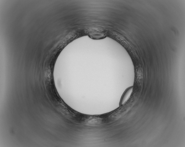 X0000112960617200909241201