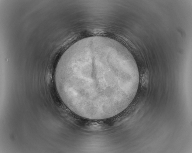 X0000112960618200909241201