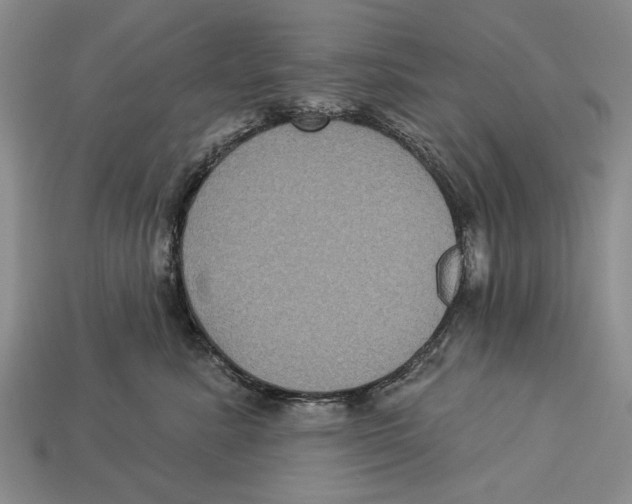 X0000112960619200909241201