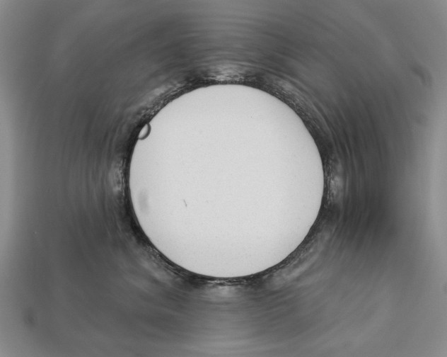 X0000112960620200909241201