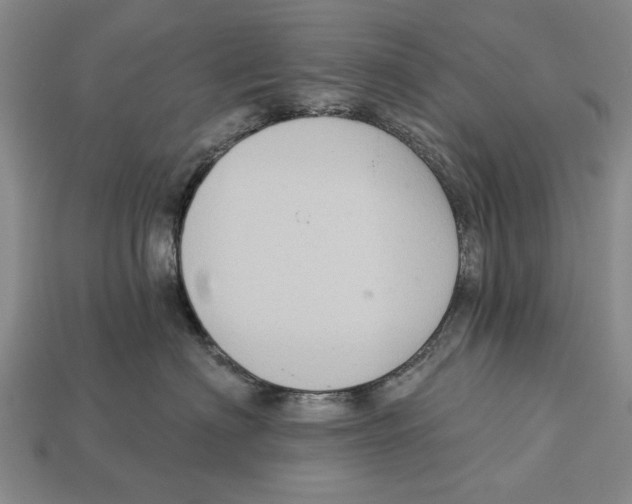 X0000112960622200909241201