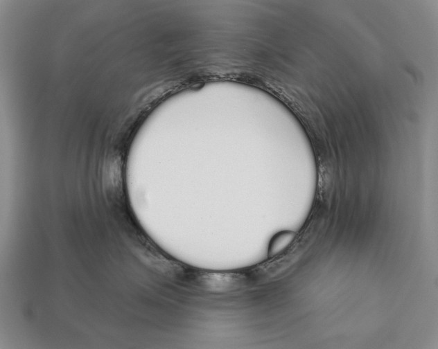 X0000112960623200909241201