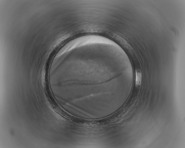 X0000112960627200909241200