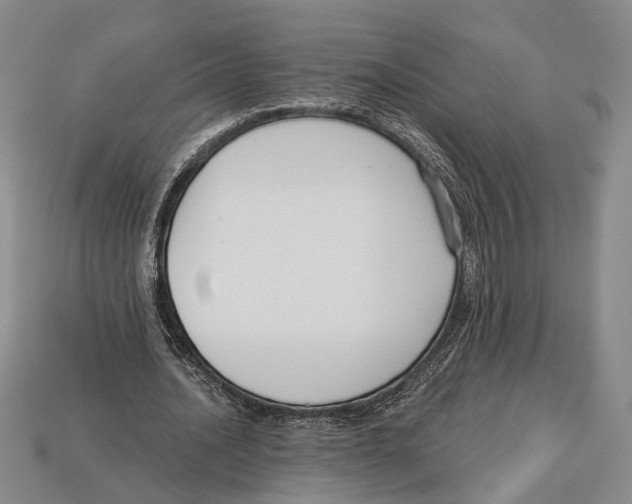 X0000112960628200909241200