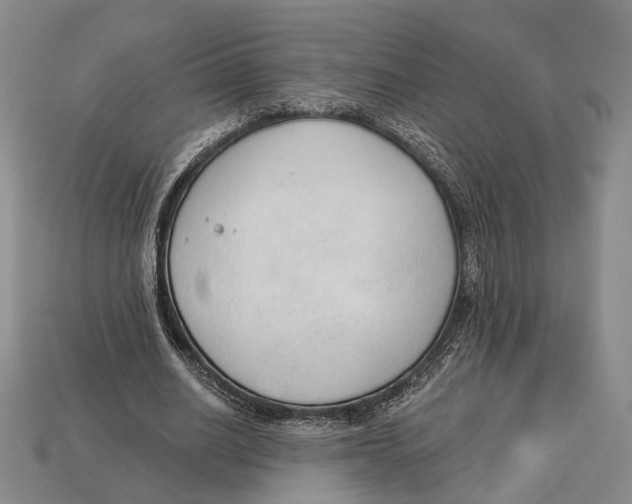 X0000112960630200909241200