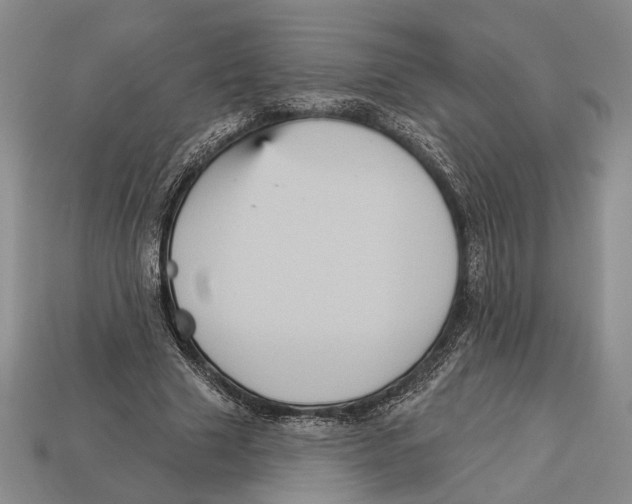 X0000112960633200909241200