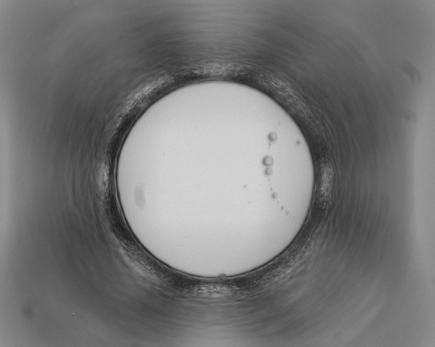 X0000112960636200909241200