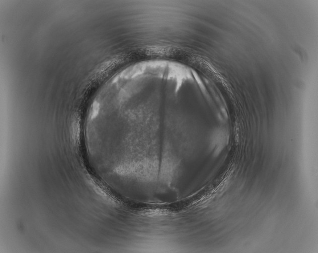 X0000112960637200909241200