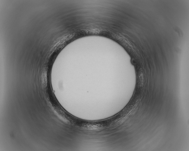 X0000112960638200909241200