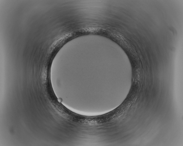 X0000112960640200909241200