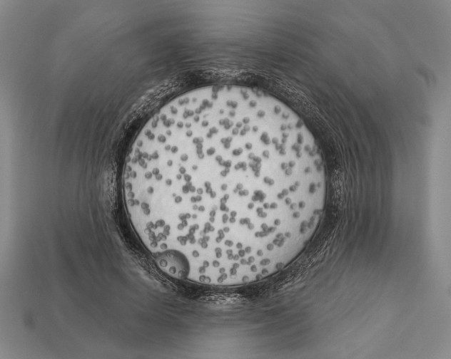 X0000112960642200909241200