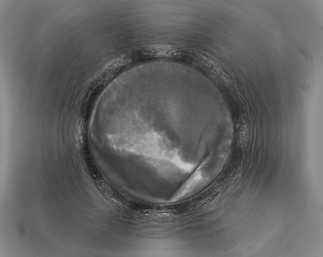 X0000112960643200909241200