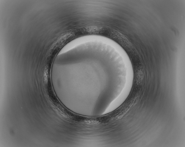 X0000112960644200909241200