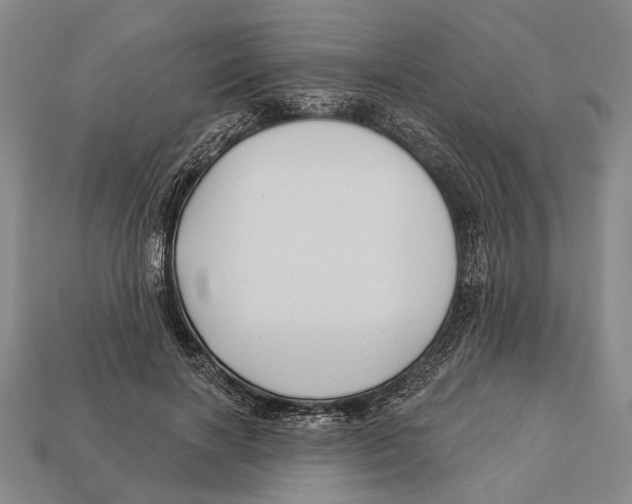 X0000112960646200909241200