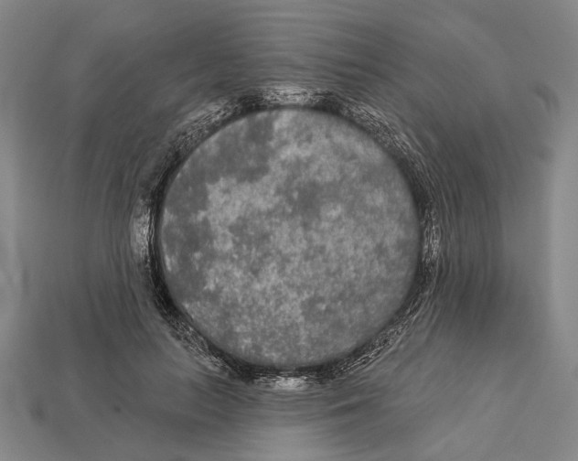 X0000112960647200909241200