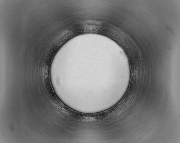 X0000112960649200909241200