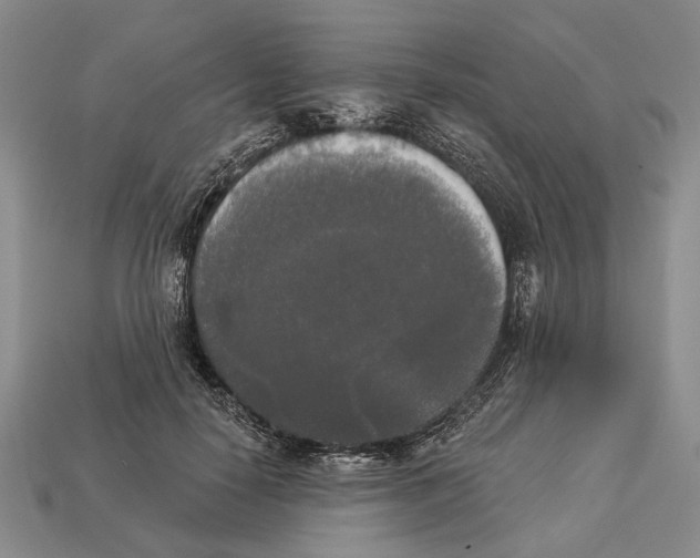 X0000112960650200909241200