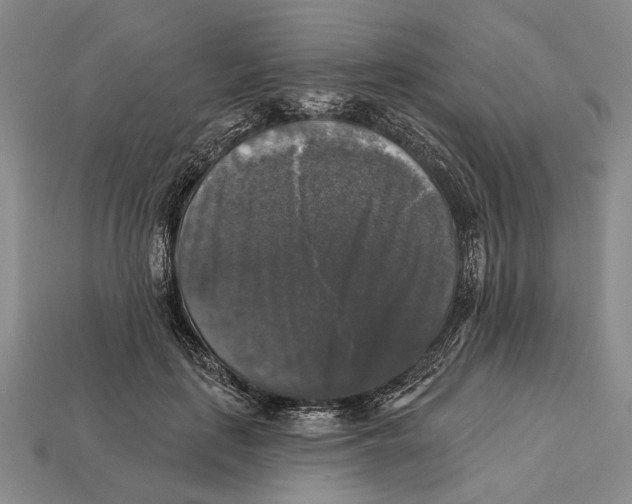 X0000112960651200909241200