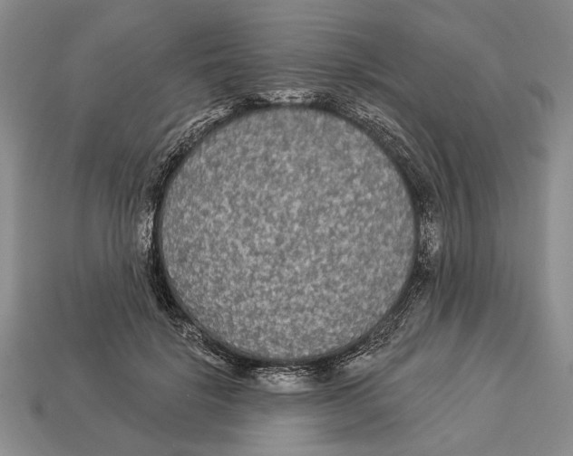 X0000112960652200909241200