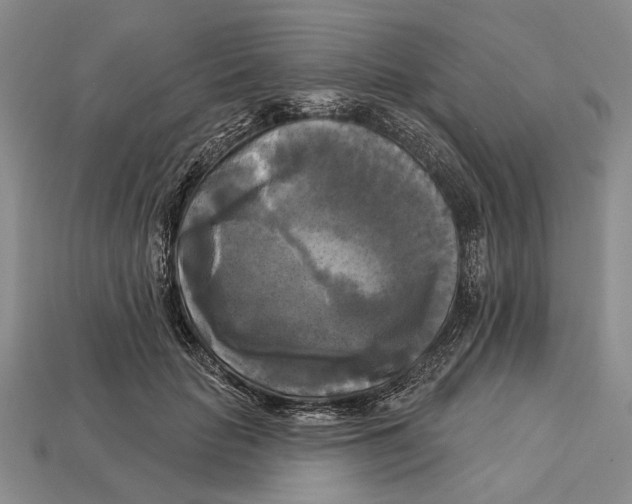 X0000112960653200909241200