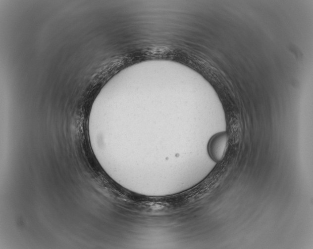 X0000112960654200909241200