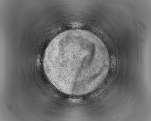 X0000112960655200909241200