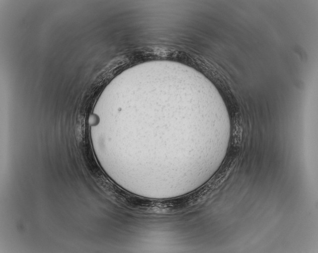 X0000112960656200909241201