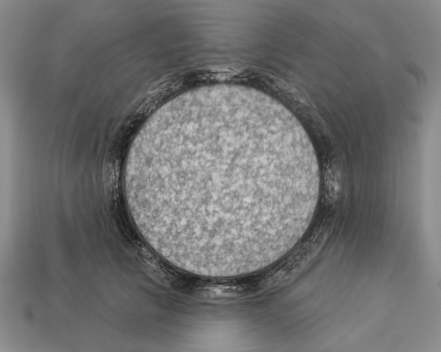 X0000112960657200909241201