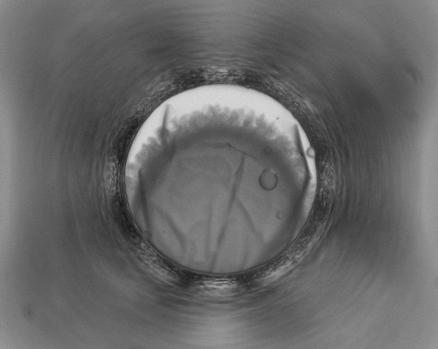 X0000112960659200909241201