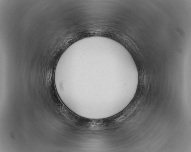 X0000112960660200909241201