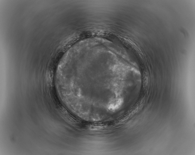 X0000112960661200909241201