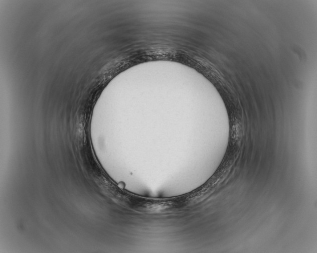 X0000112960662200909241201