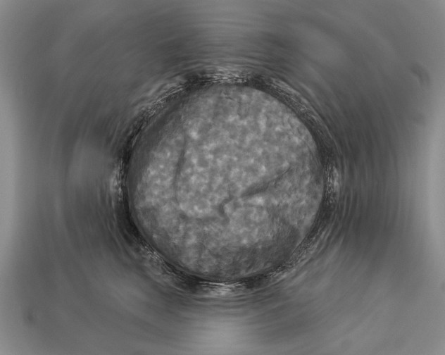 X0000112960663200909241201