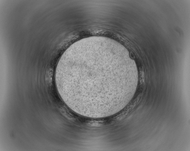 X0000112960664200909241201