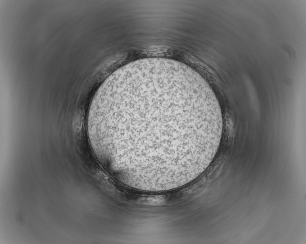 X0000112960665200909241201