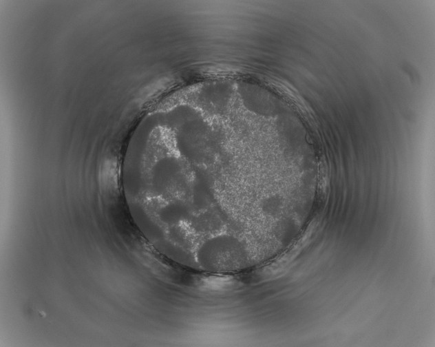 X0000112960669200909241201