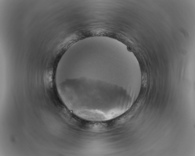 X0000112960670200909241201