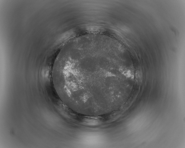 X0000112960671200909241201