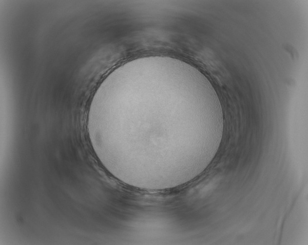 X0000112960672200909241201