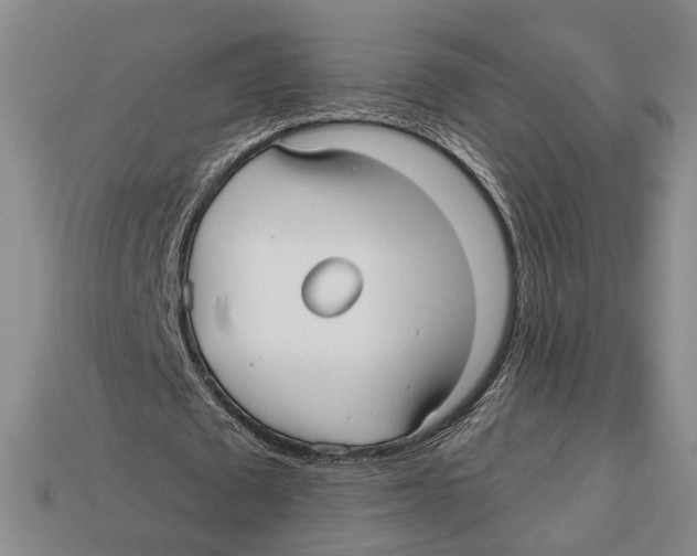 X0000112960673200909241200