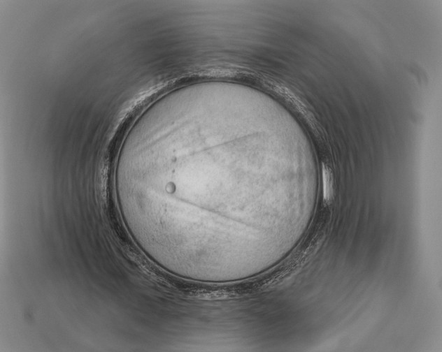 X0000112960675200909241200