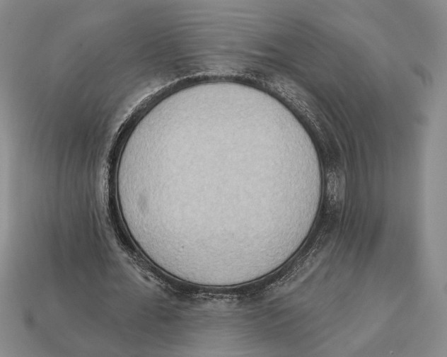 X0000112960676200909241200