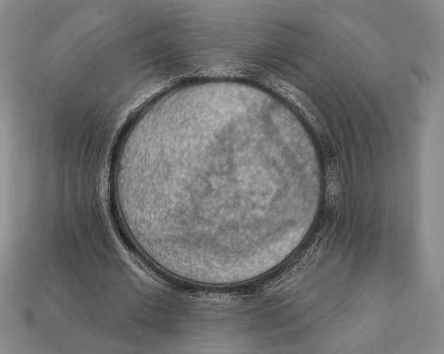 X0000112960677200909241200