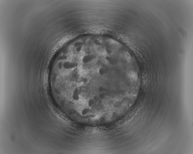 X0000112960679200909241200