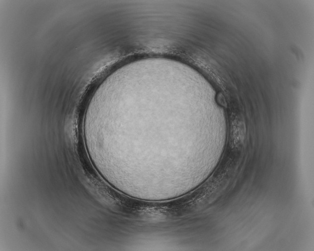 X0000112960680200909241200