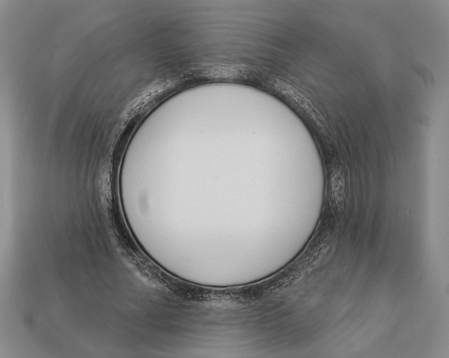 X0000112960682200909241200